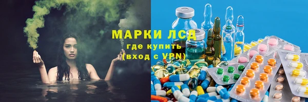 сатива Куйбышев