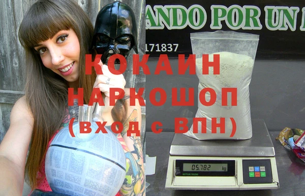 индика Алексин