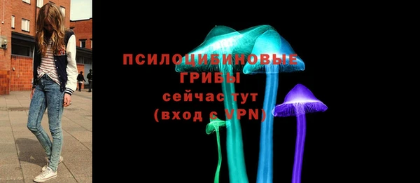 индика Алексин