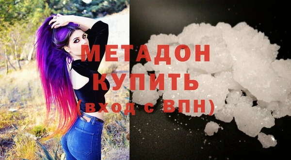индика Алексин