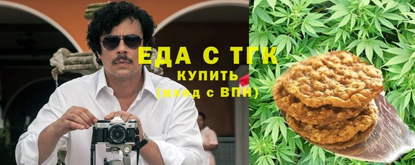 индика Алексин