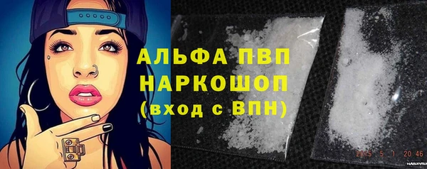 индика Алексин